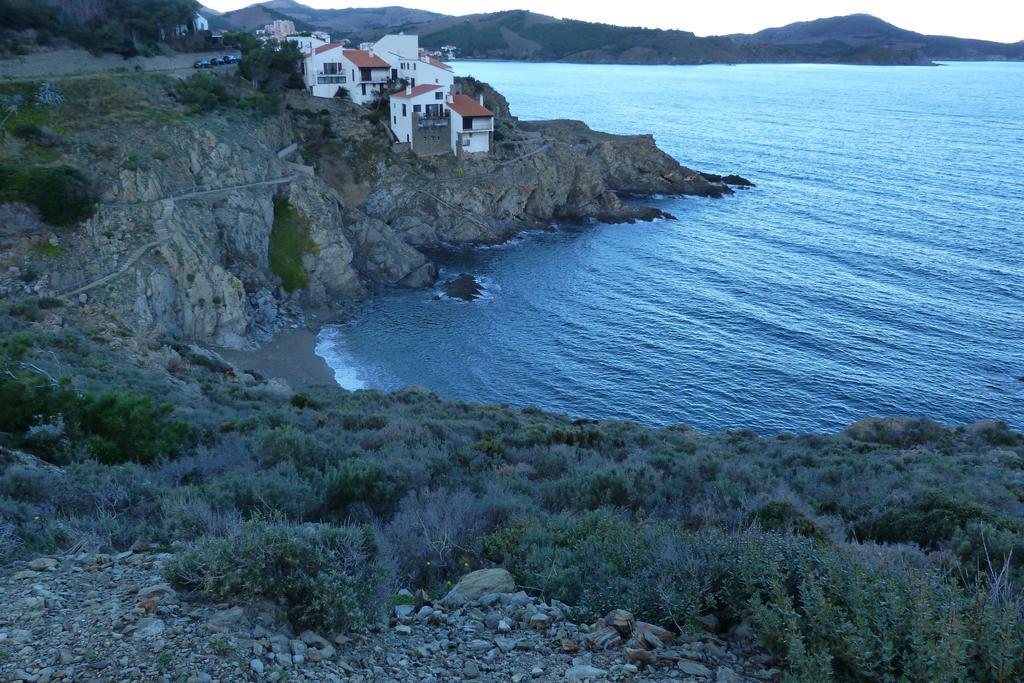 Magnifique Vue Sur Mer Apartment Banyuls-sur-Mer Exterior photo